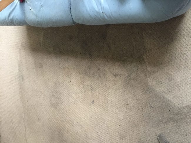 dirty rug