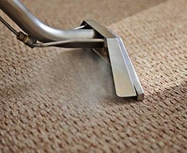rug cleaning