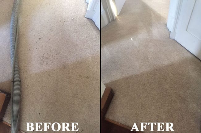 Before-After carpet claning service
