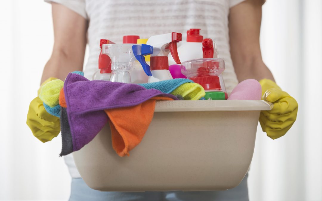 Professional Carpet Cleaning vs DIY